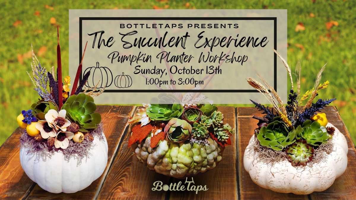 Succulent Experience's Pumpkin Planter Workshop at BottleTaps