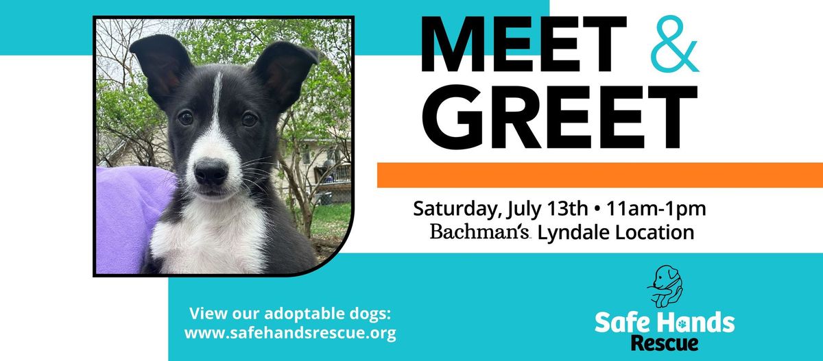 Safe Hands Rescue Meet & Greet at Bachman's Lyndale