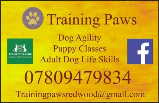 argos medium dog crate