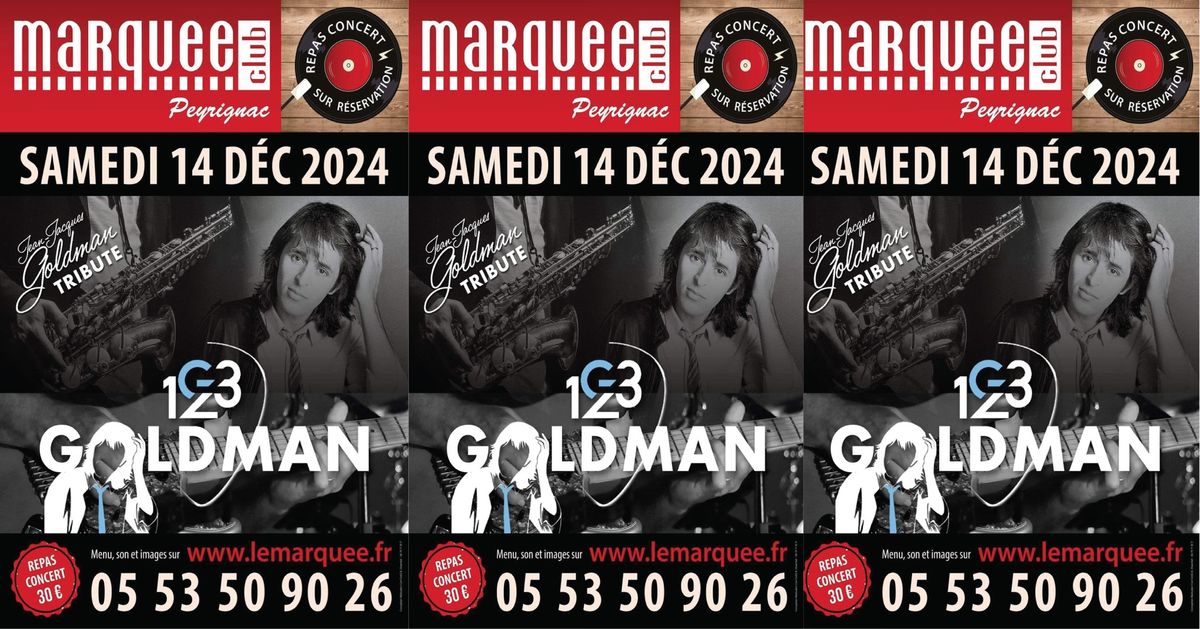 Concert 1_2_3 GOLDMAN au MARQUEE de PEYRIGNAC (24)