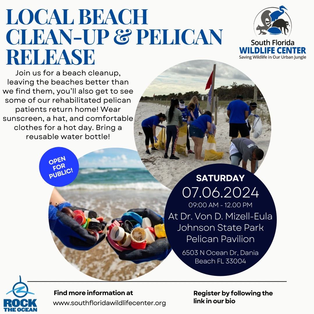 Beach Cleanup and Pelican Release