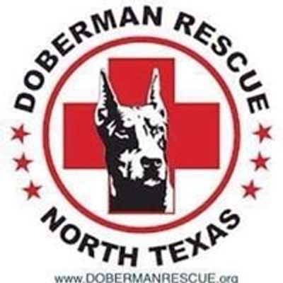 Doberman Rescue of North Texas