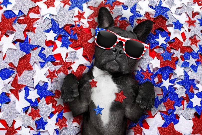 Four Corners Veterinary Hospital Closed for Independence Day