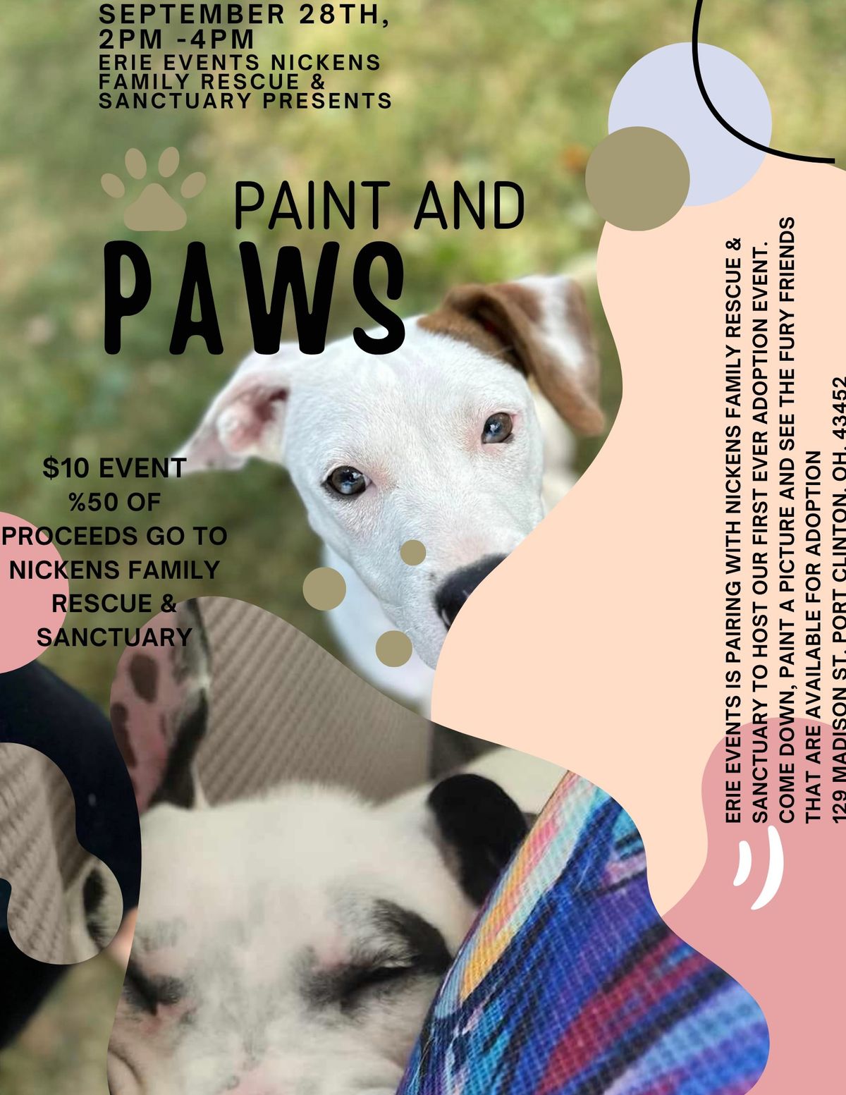 Painting with Puppies