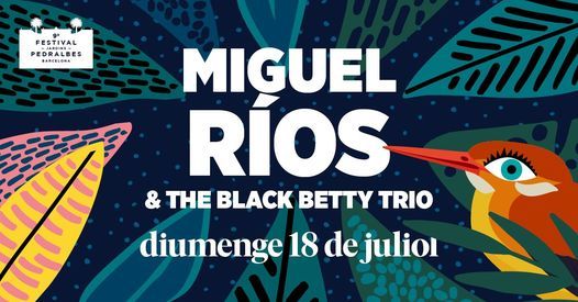Miguel R\u00edos & The Black Betty Trio - Festival Jardins Pedralbes