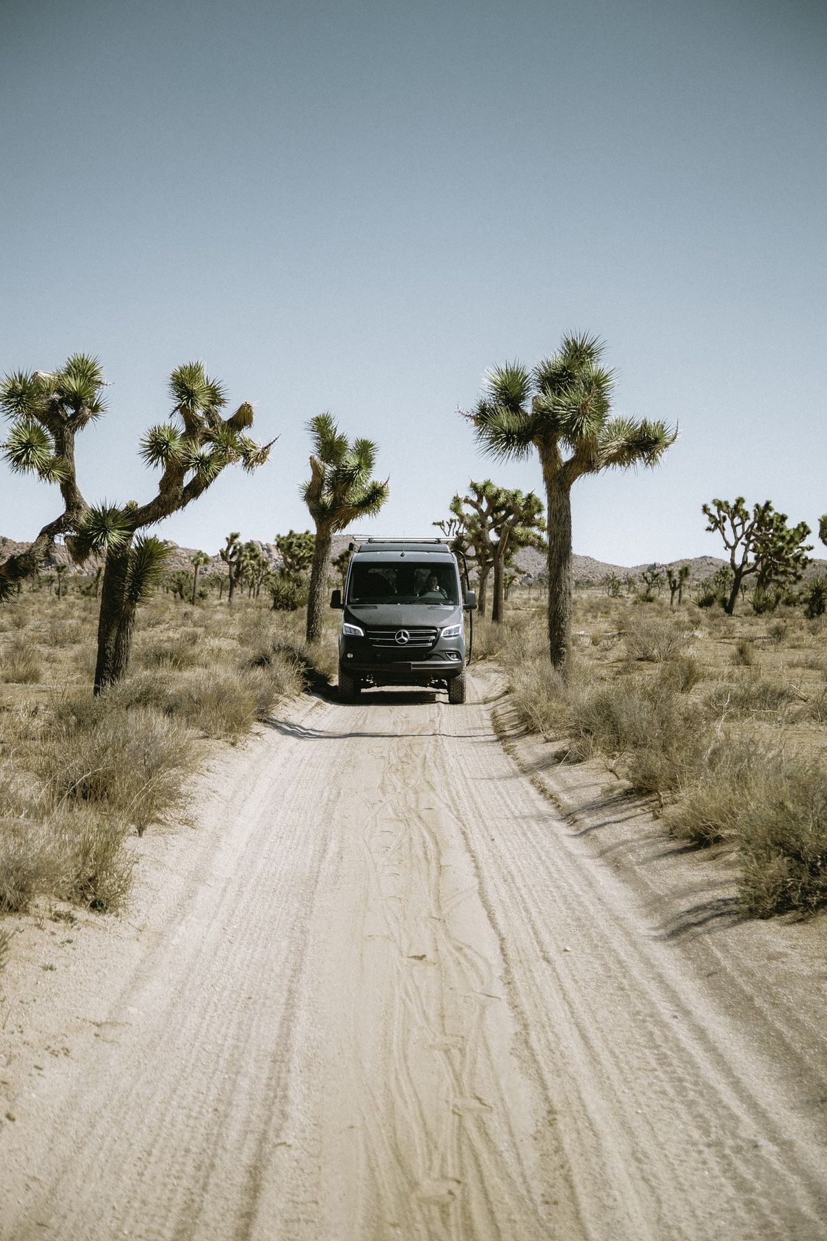 Field Van - Joshua Tree Jamboree