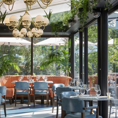 The Dupont Circle, Doyle Bar, The Pembroke