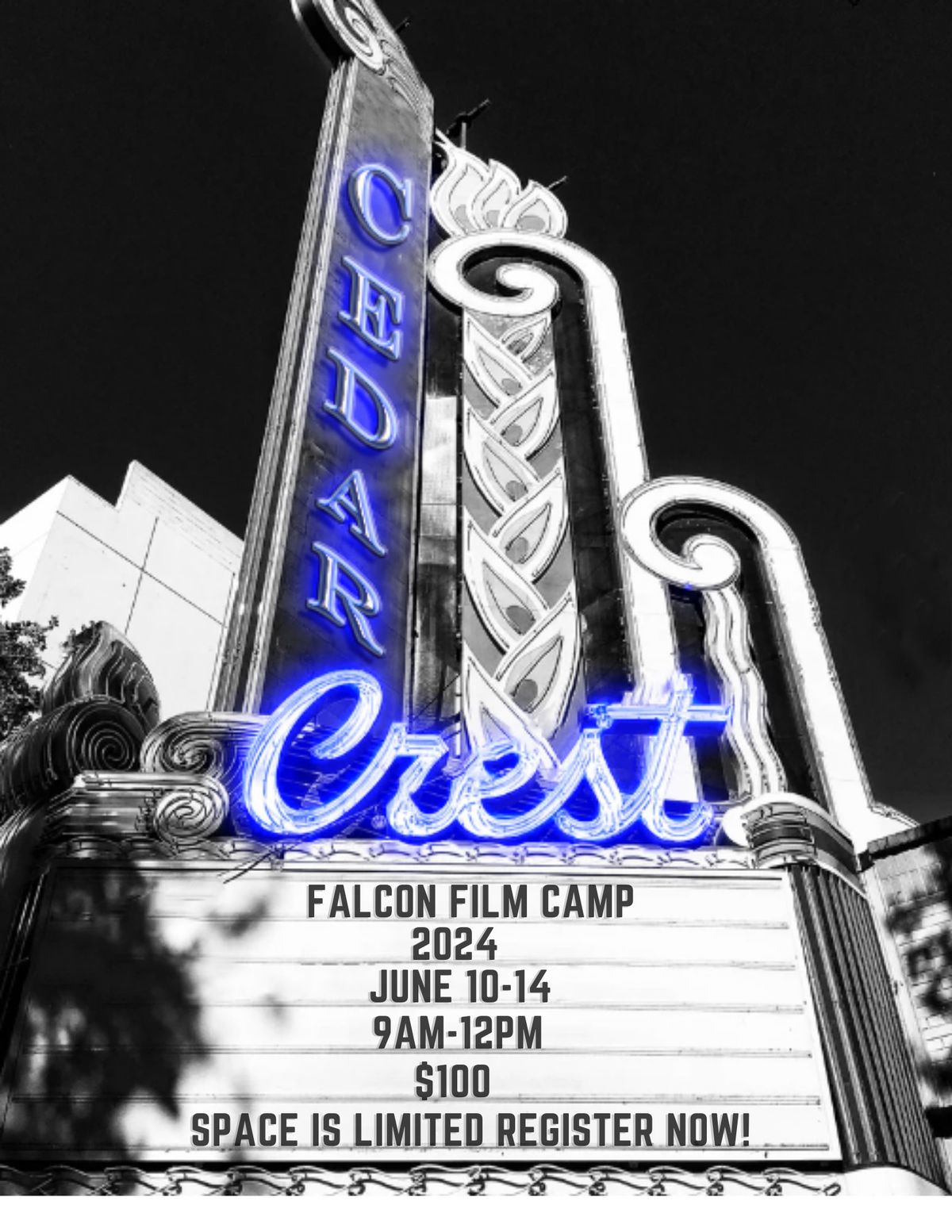 Falcon Film Camp 2024