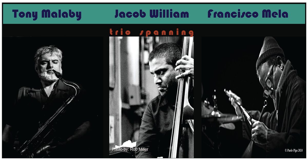 Jacob William's Trio Spanning