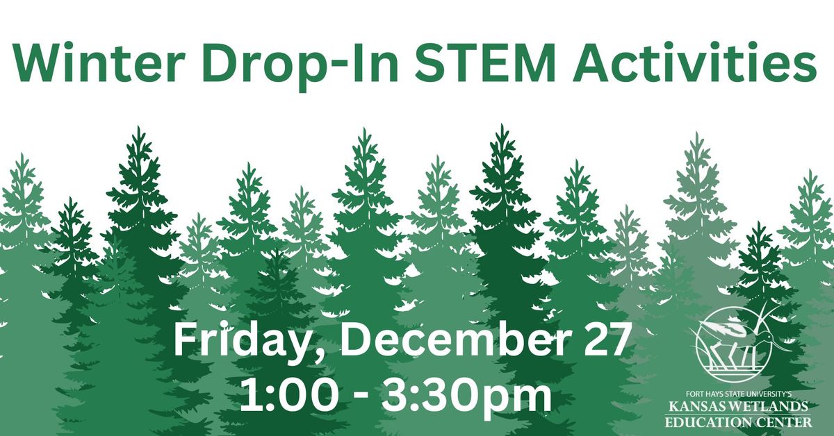 Drop-in STEM - Winter Trees