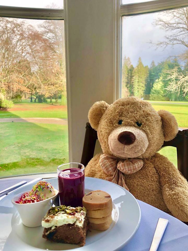 Festive Teddy Bear Afternoon Tea