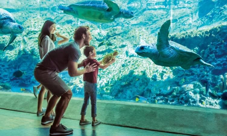 \ud83c\udf0a A Day at SeaWorld Orlando \ud83c\udf0a Weekend Getaway ONLY $99 Per Couple