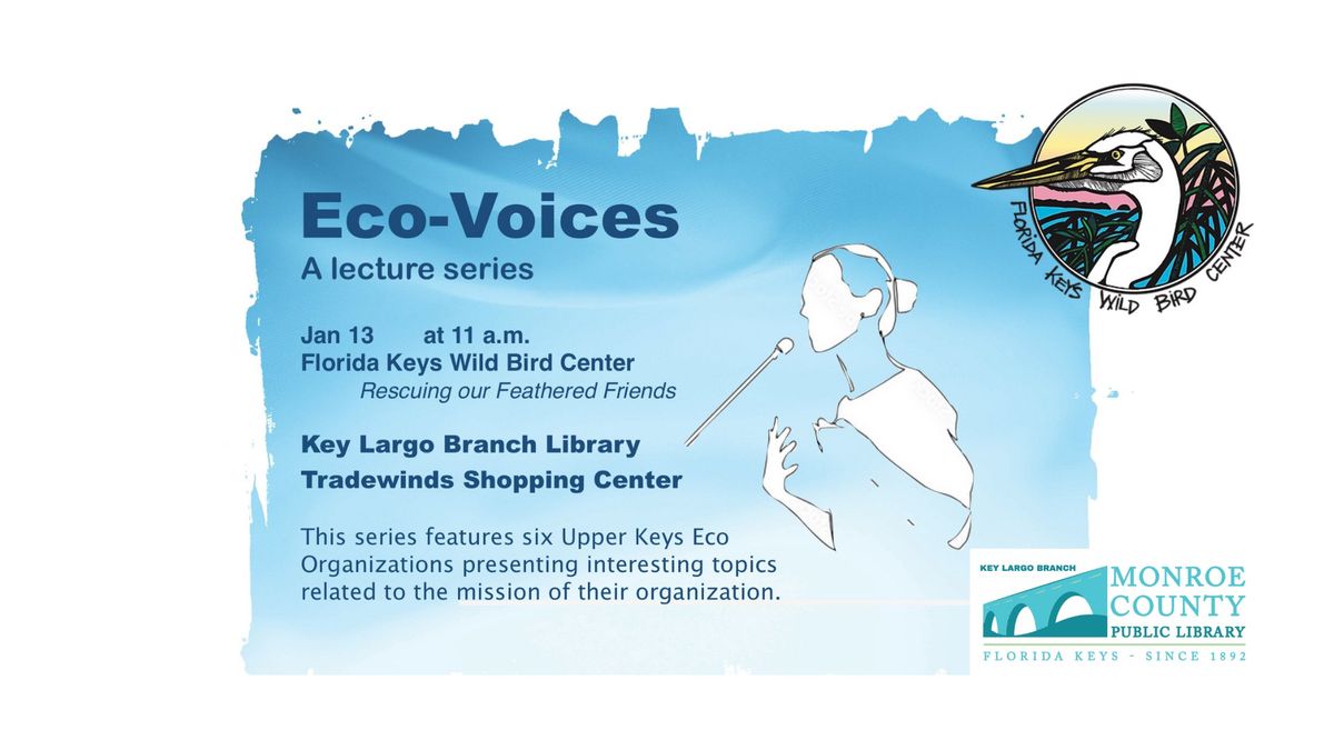 Eco-Voices #3: Rescuing Our Feathered Friends with the Florida Keys Wild Bird Center