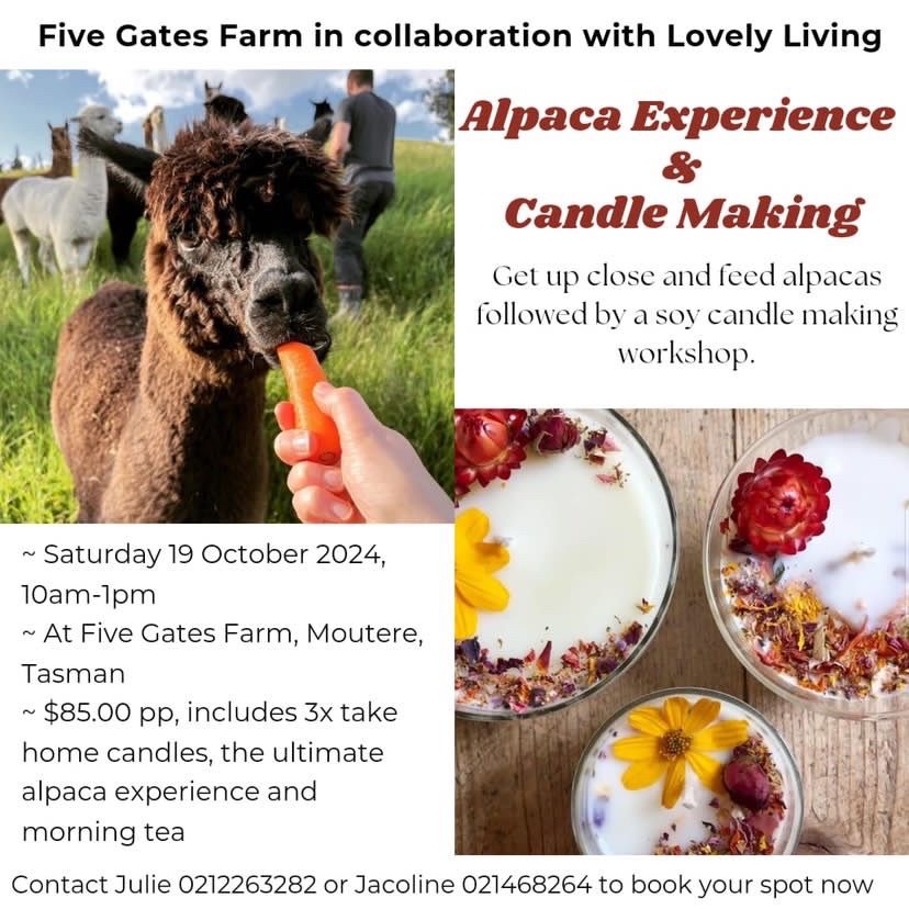 Alpaca experience and candle making workshop 