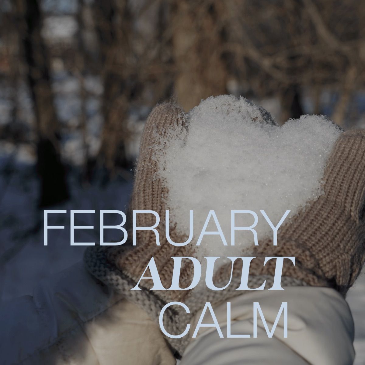 February Adult Calm 