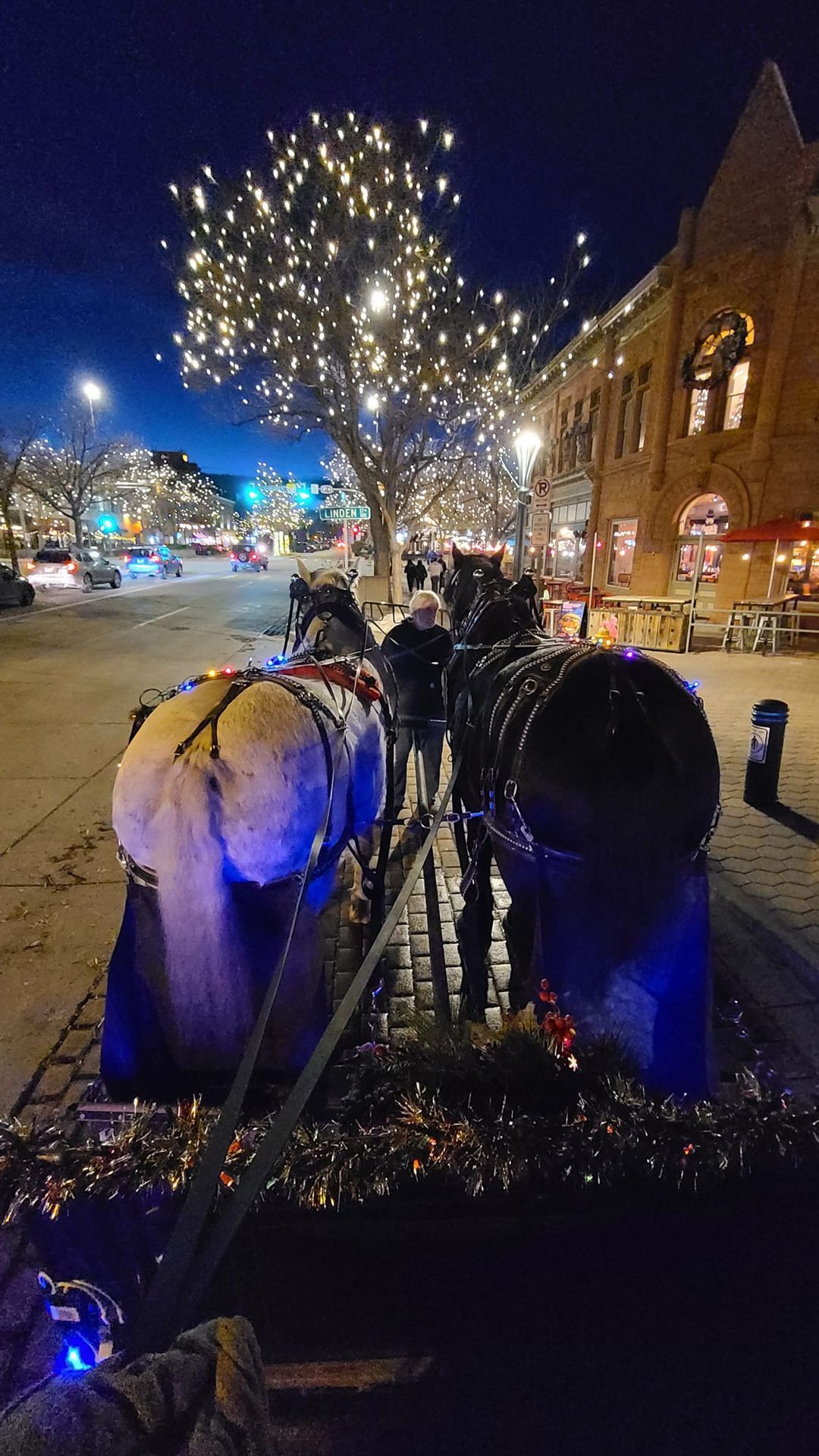 Fort Collins Holiday Lights Tour