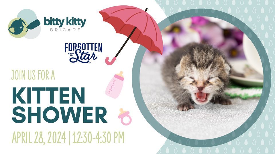 Bitty Kitty Brigade Kitten Shower