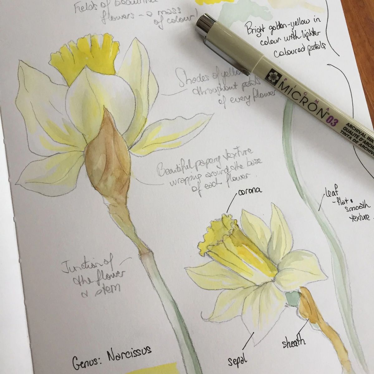 Nature Journaling: Create a visual art diary of your Floriade experience!