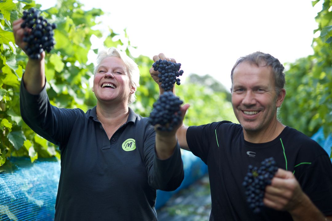 Dagstur til Hebnes med vinsmaking \u2013 Nyt smaken av Ryfylke!