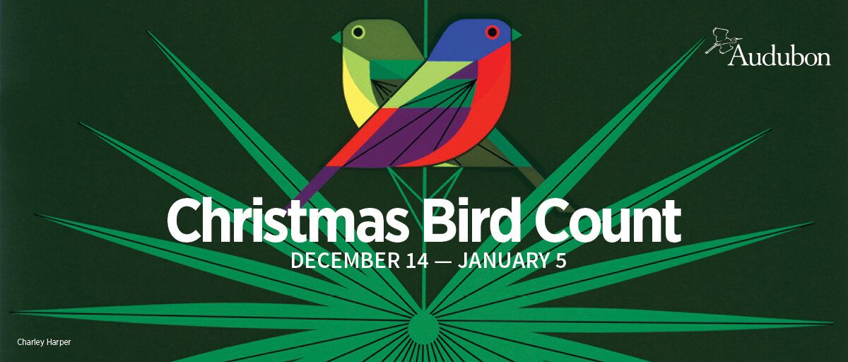 Christmas Bird Count - Fort Bragg Circle