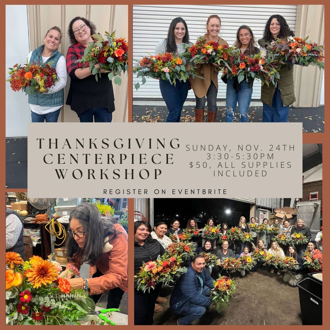 Thanksgiving Centerpiece Workshop - Session 2