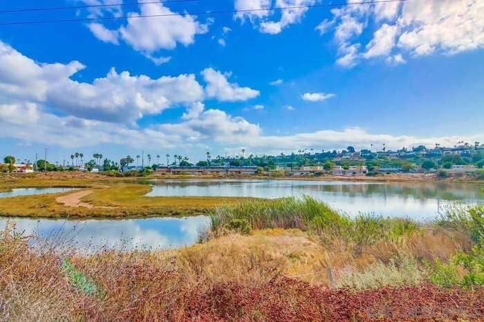 Birding Outing: Famosa Slough