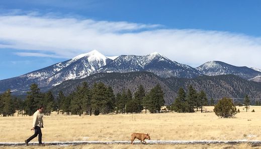 Family Guided Hike of McMillan Mesa
