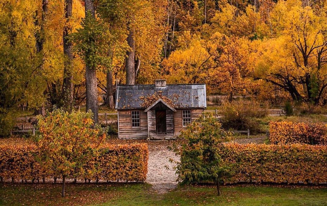 FREE Arrowtown KIDS Trail Run