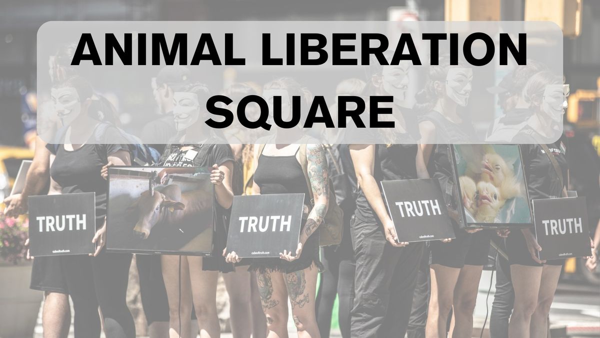 Animal Liberation Square - Kultorvet 