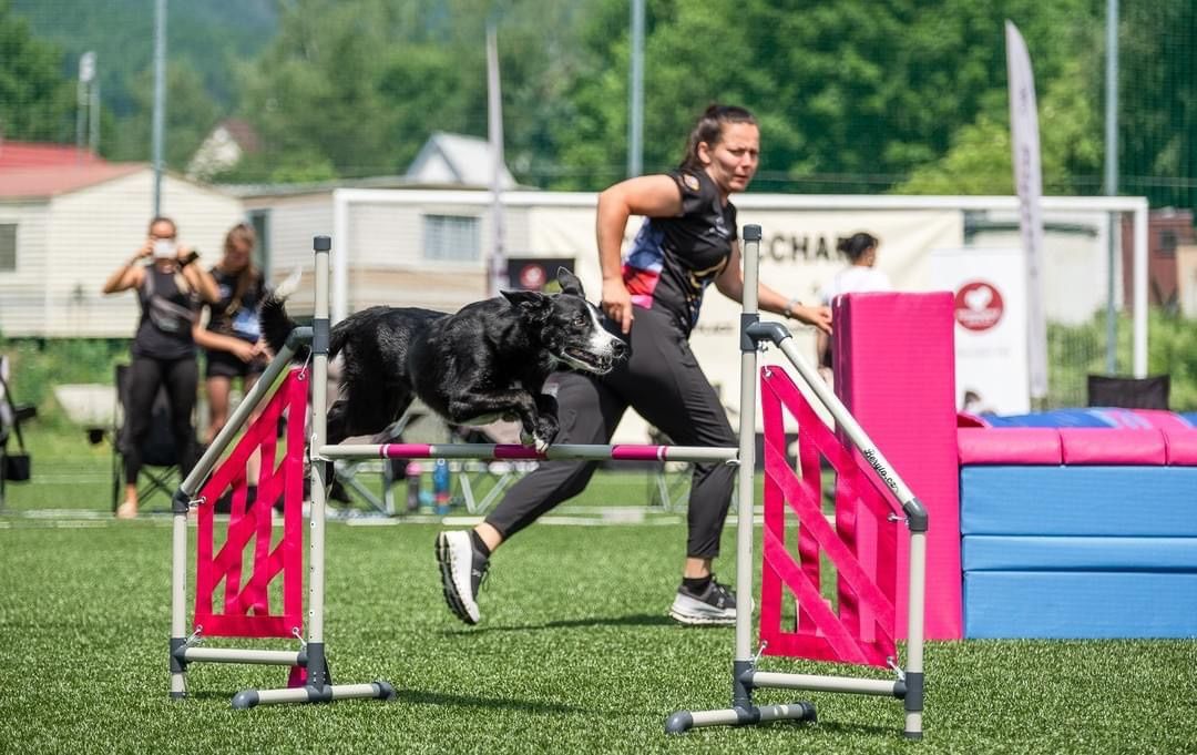 Agility intenzivka - Mikul\u016fvka