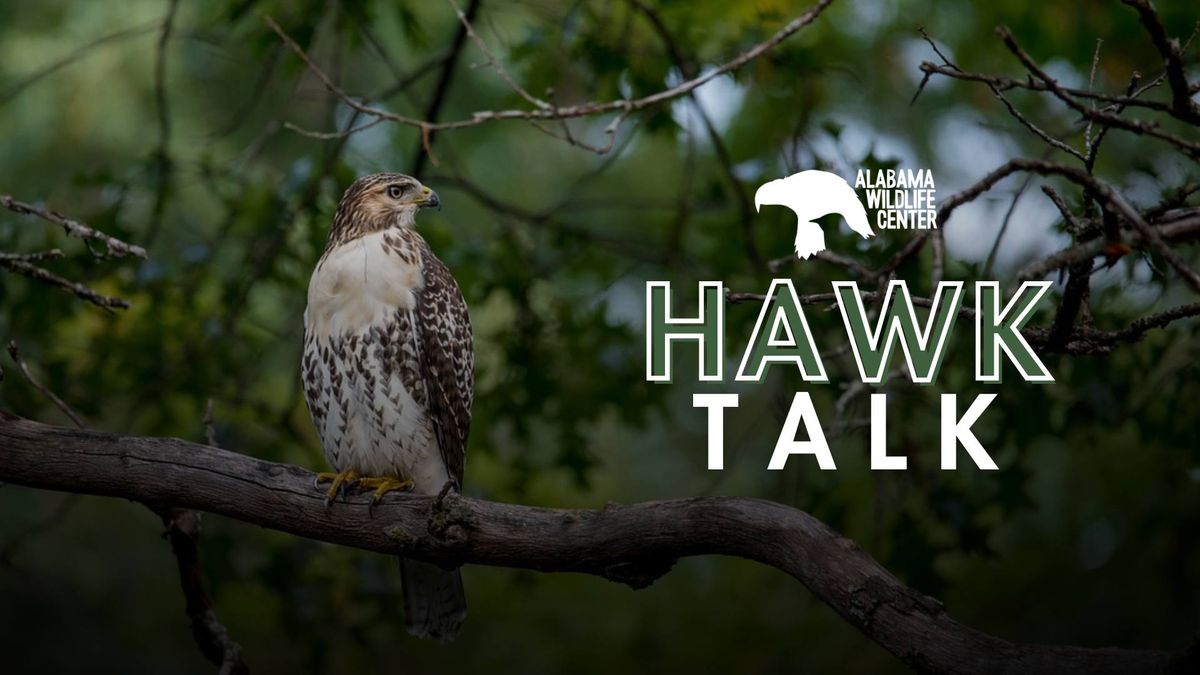 Hawk Talk