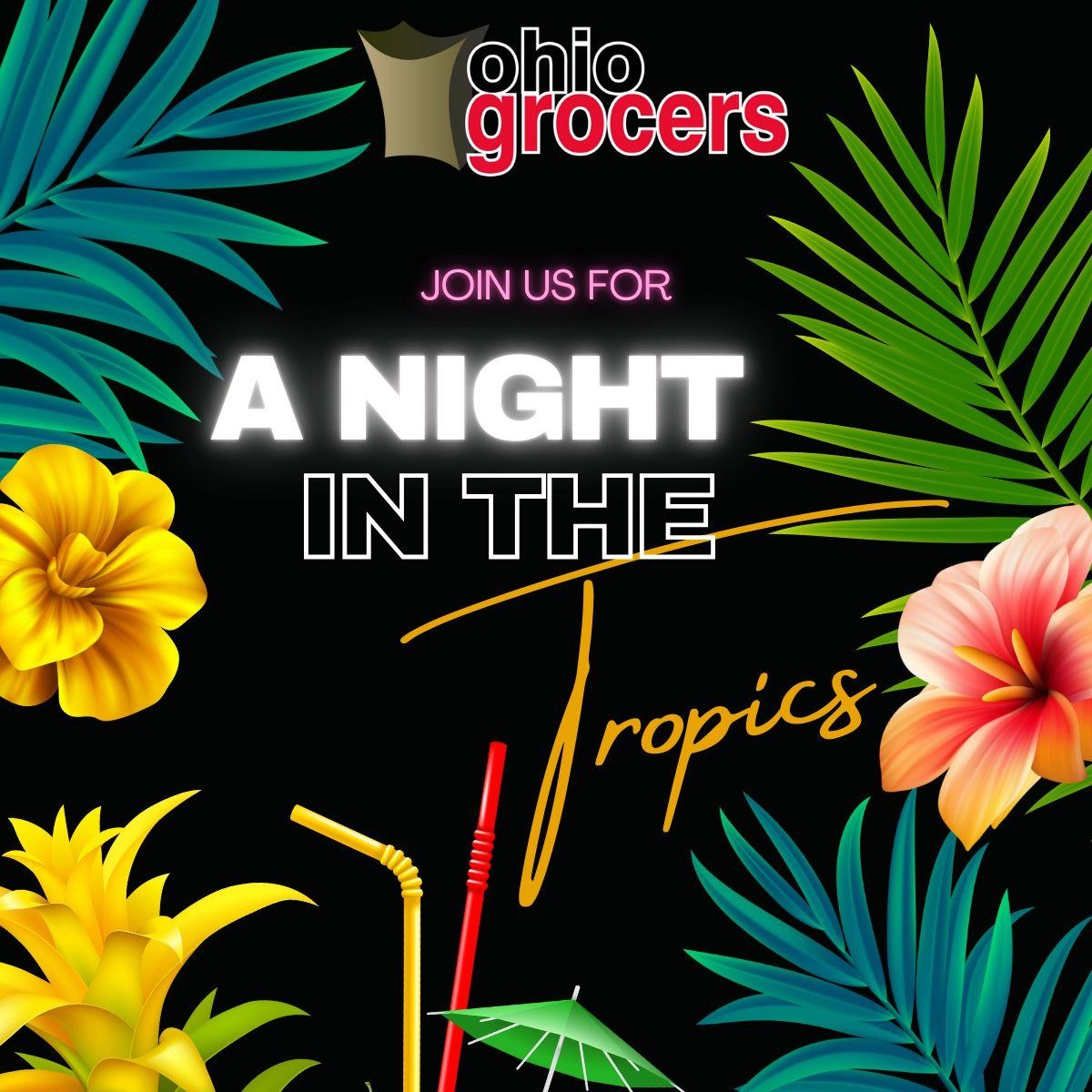 A Night in the Tropics