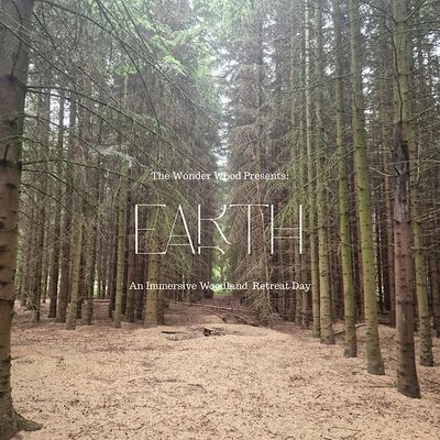 The Wonder Wood