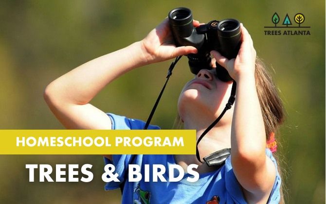 Homeschool Program: Trees and Birds