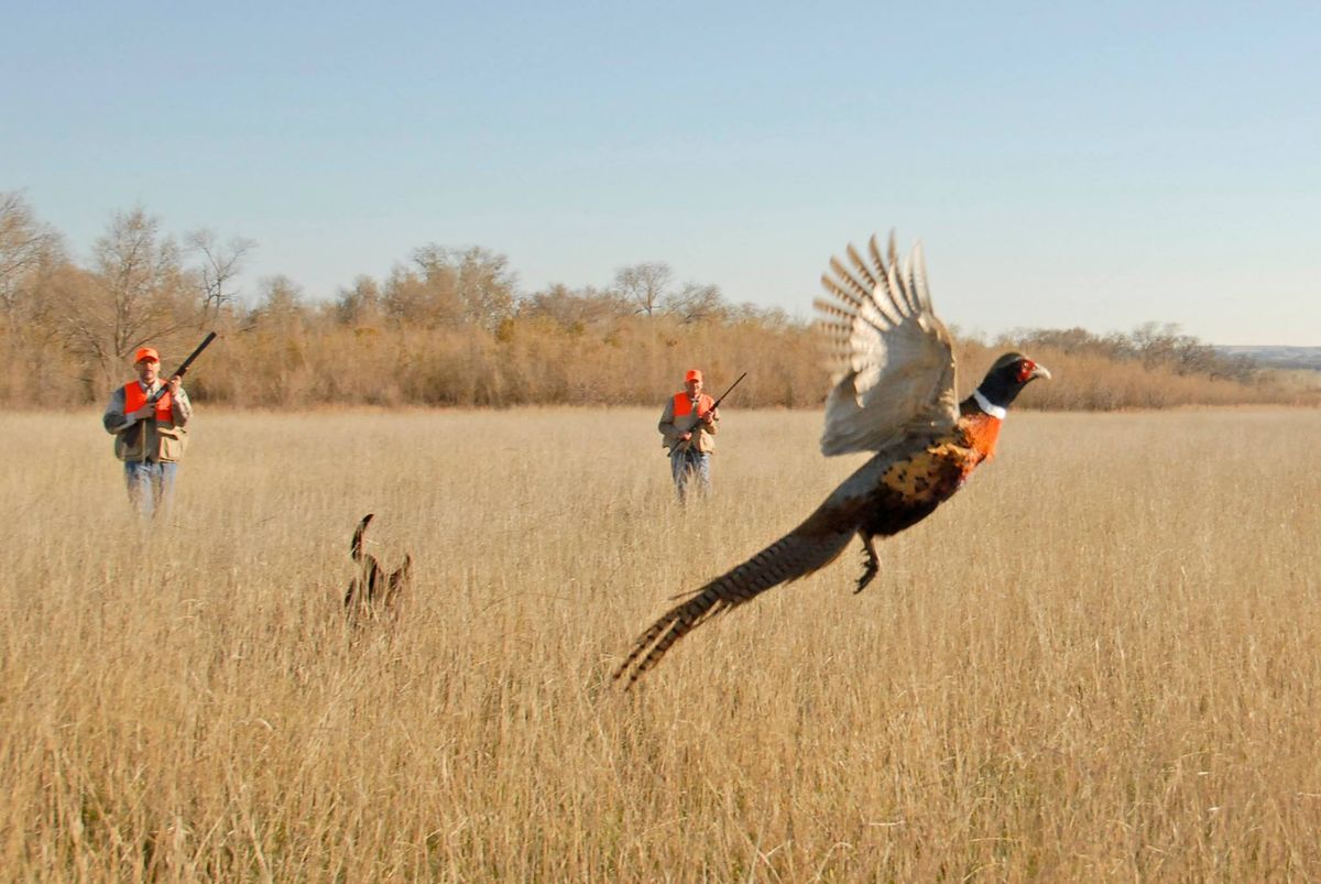 Annual Southeast South Dakota Pheasant Association Fundraising Banquet