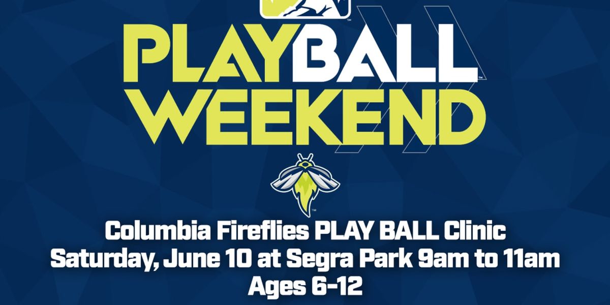 Charleston Riverdogs at Columbia Fireflies at Segra Park