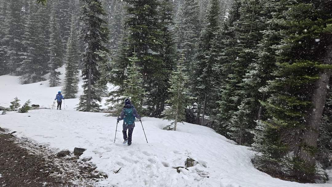 Snowshoe Mazama Ridge on Mt. Rainier