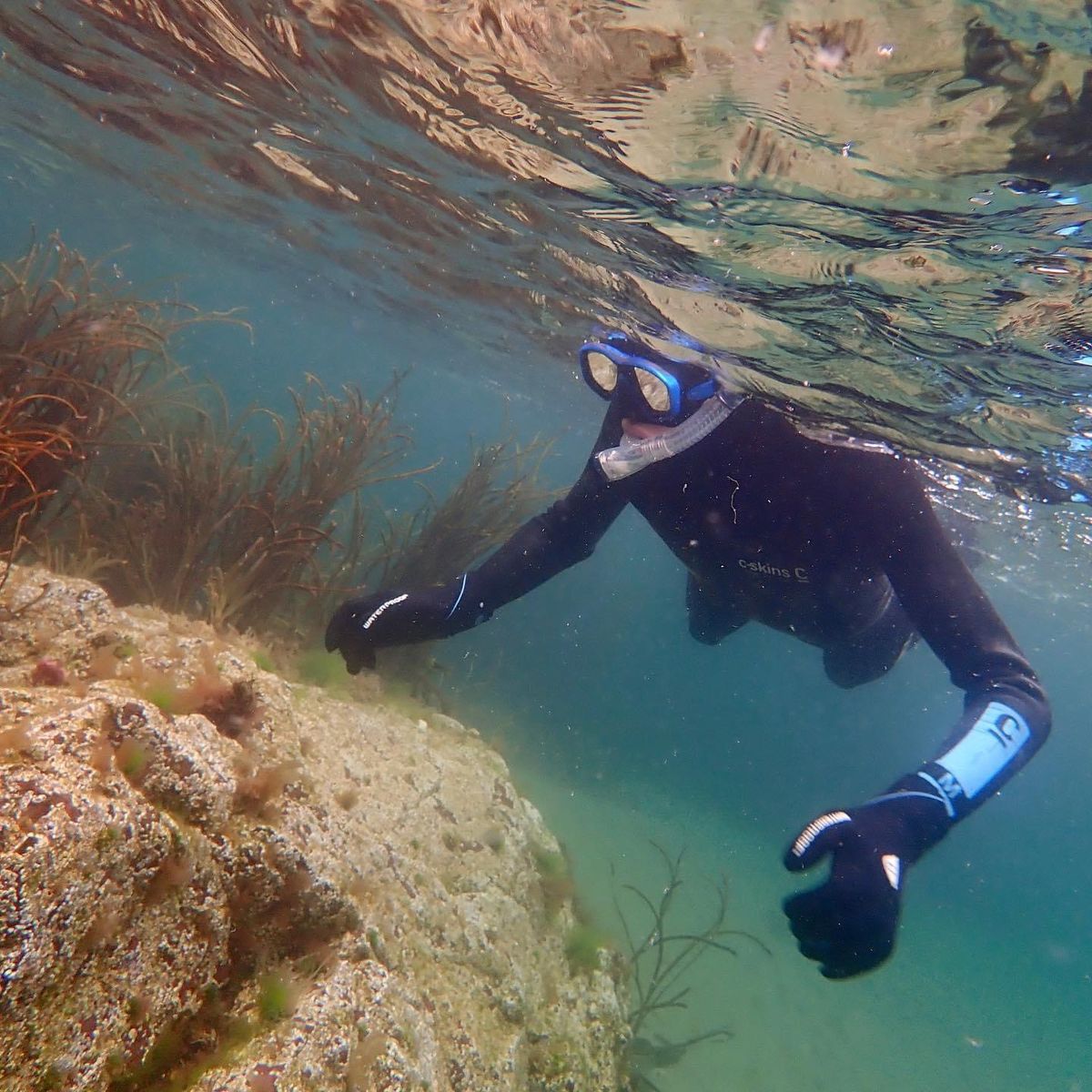 Discover Snorkelling on World Oceans Day - Coldingham Bay, Scotland UK - Beginners