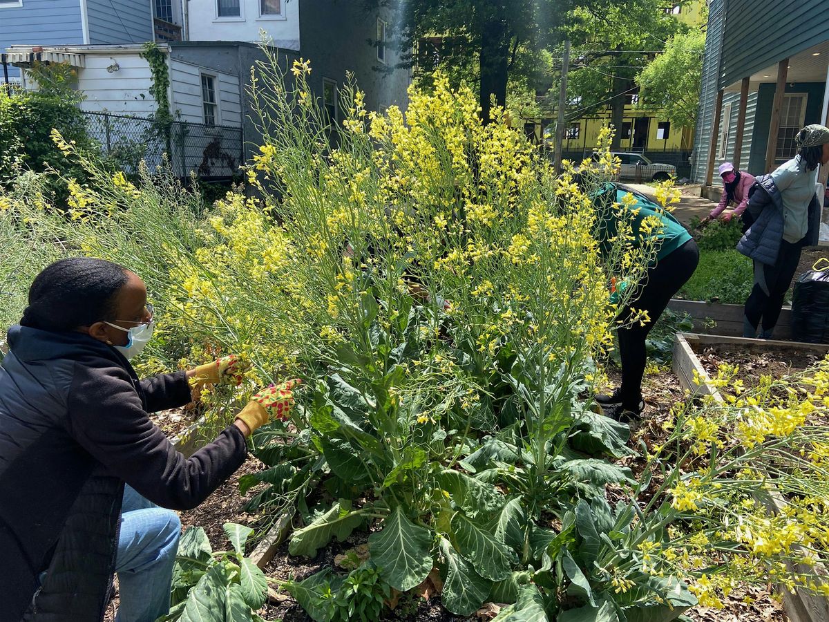 Care: Gardening and Art Workshop