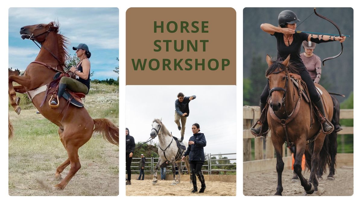 FULLY BOOKED 1-Day Horse Stunt Workshop