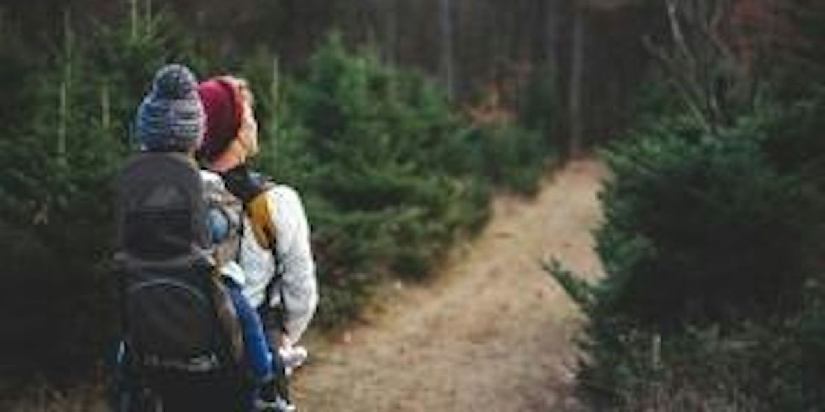 Wildlife Walk at Central Forest Park