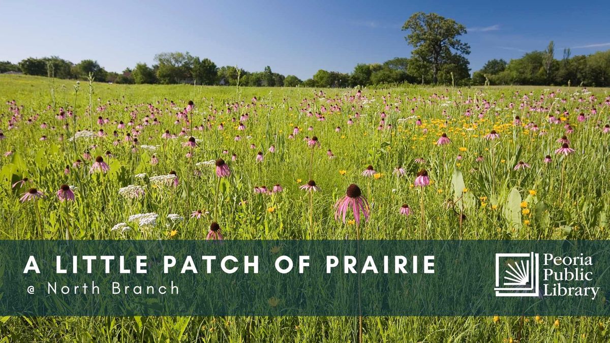 A Little Patch of Prairie: Opening Our Lawns to Nature 