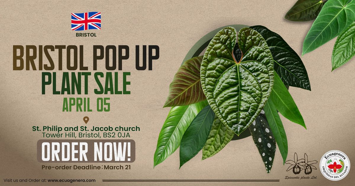 Bristol Pop Up - Plant Sale