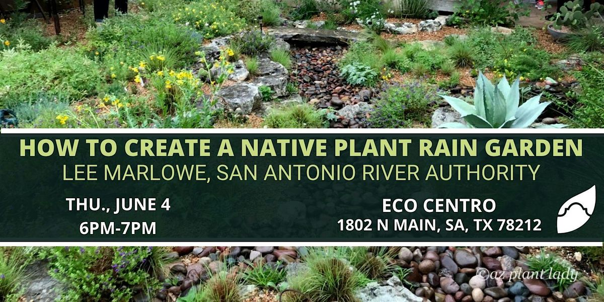 How to Create a Native Plant Rain Garden