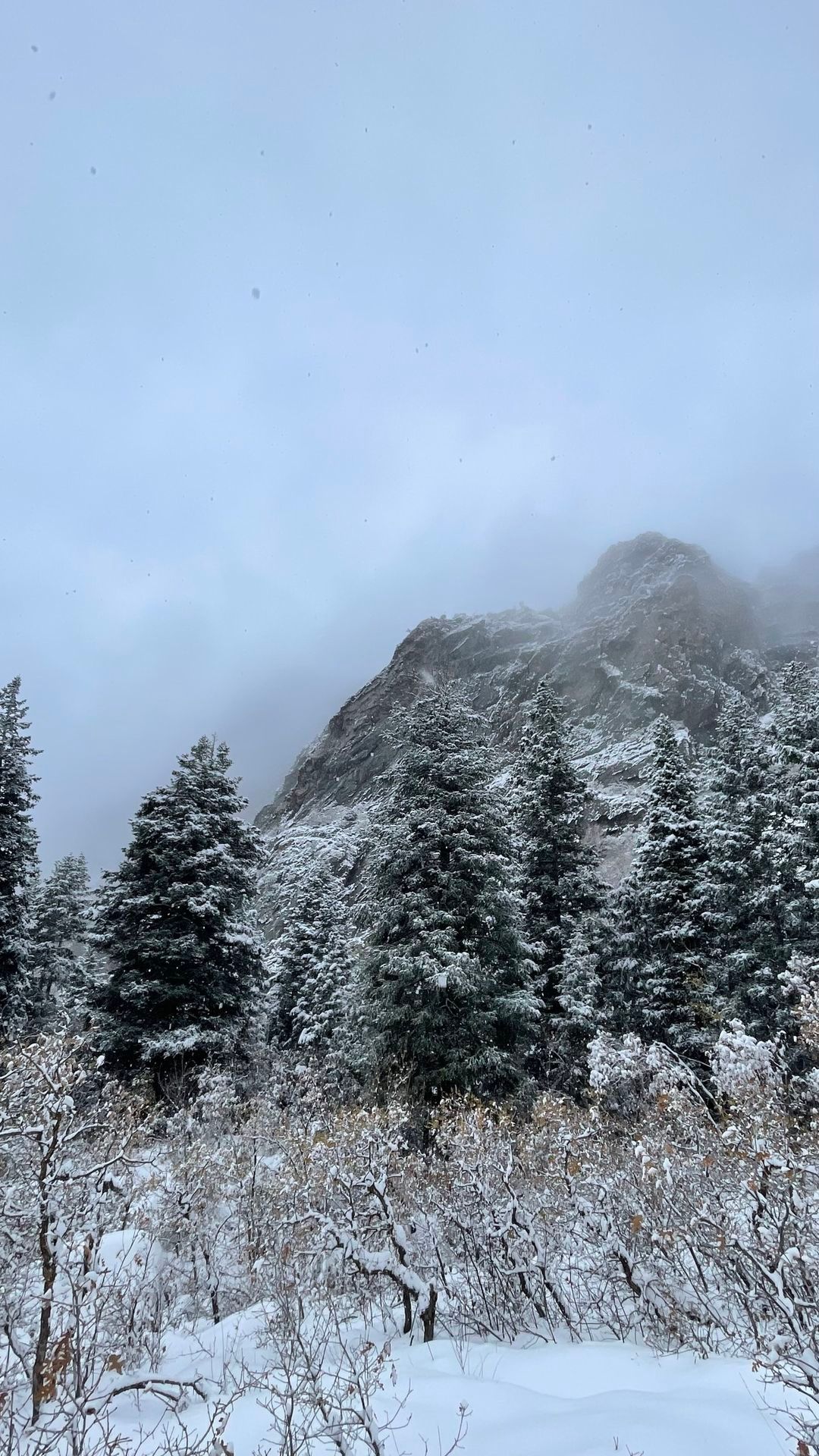 Ring ya Bells Canyon Hike