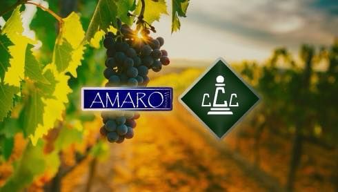 Every First Wednesday Chess at Amaro Winery