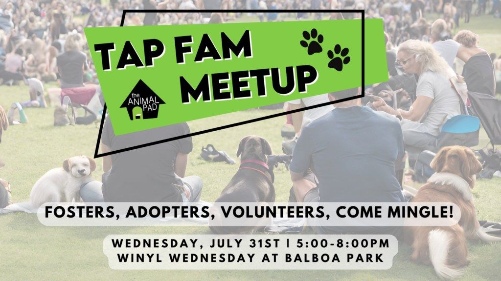 TAP Fam Meetup at Winyl Wednesday