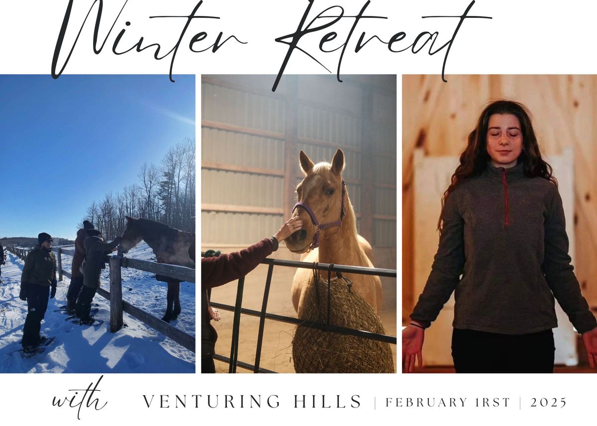 Equine-Guided Winter Wellness Retreat