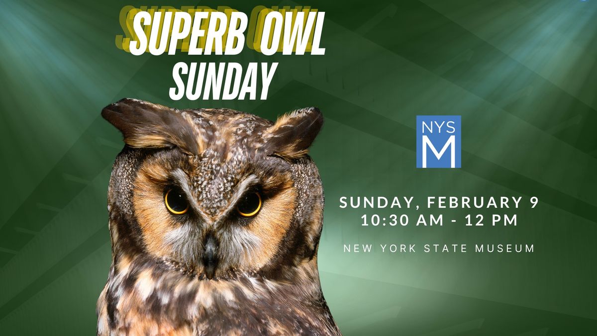 Superb Owl Sunday