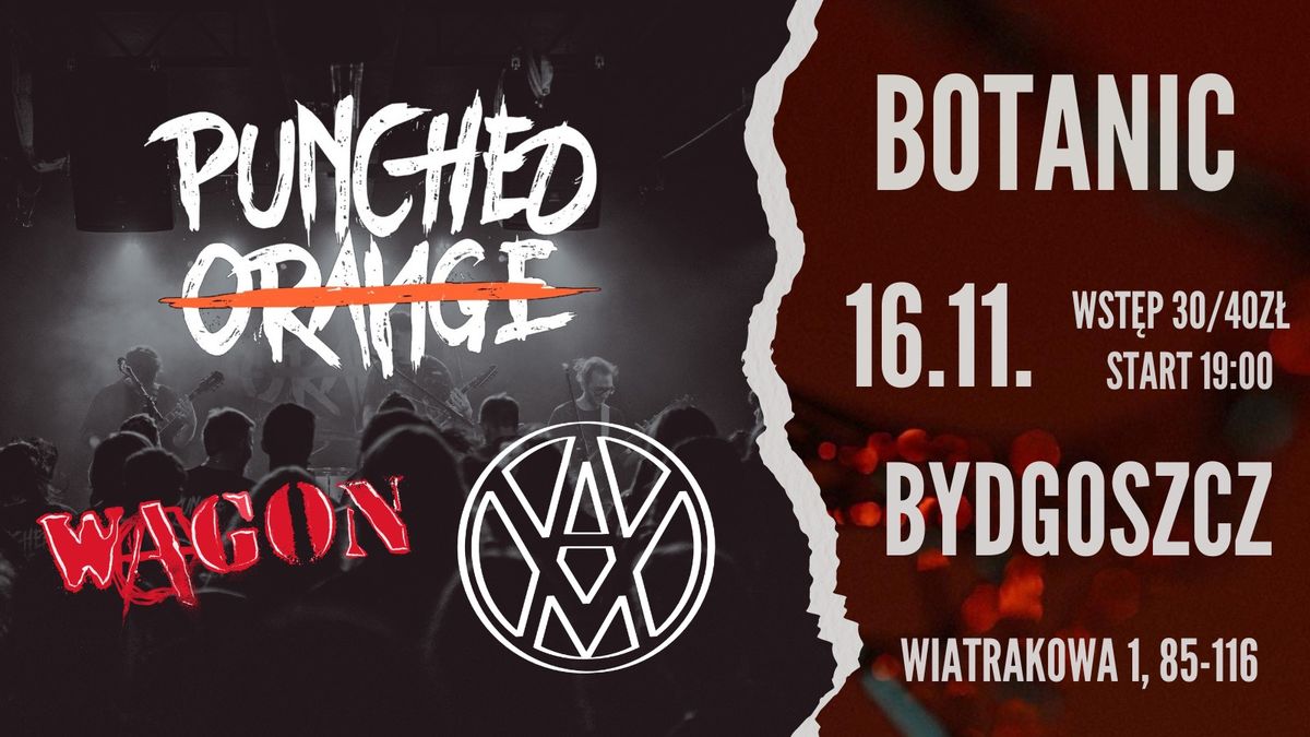 KONCERT PUNCHED ORANGE | VIOLET AMBULANCE | WAGON w BOTANIC BYDGOSZCZ